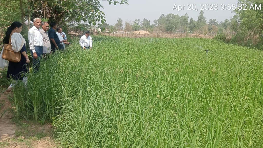 Field Inspection