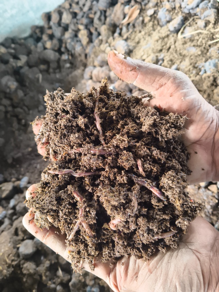 Compost Handful